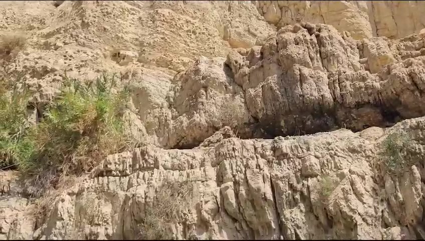 WhatsApp Video 2023-08-24 at 11.46.36