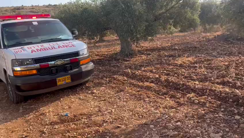 רצח אבו סנאן מדא