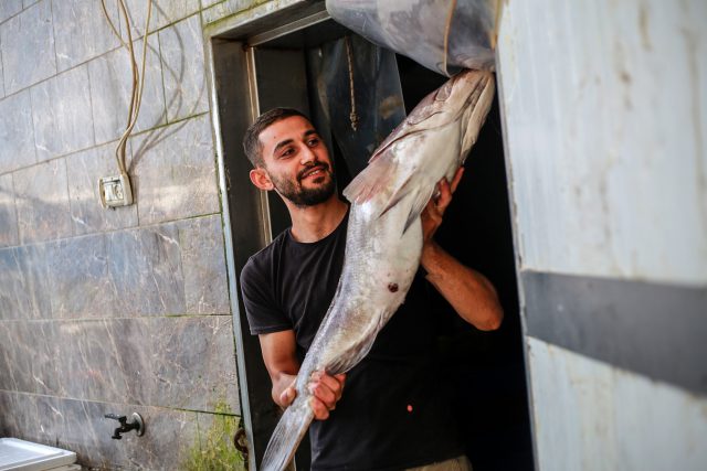 הישראלים אוכלים: 6 ליטר יין, 9 קילו דג ו-47 קילו עוף