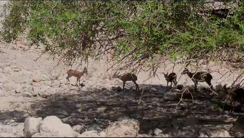 WhatsApp Video 2023-09-28 at 07.16.29