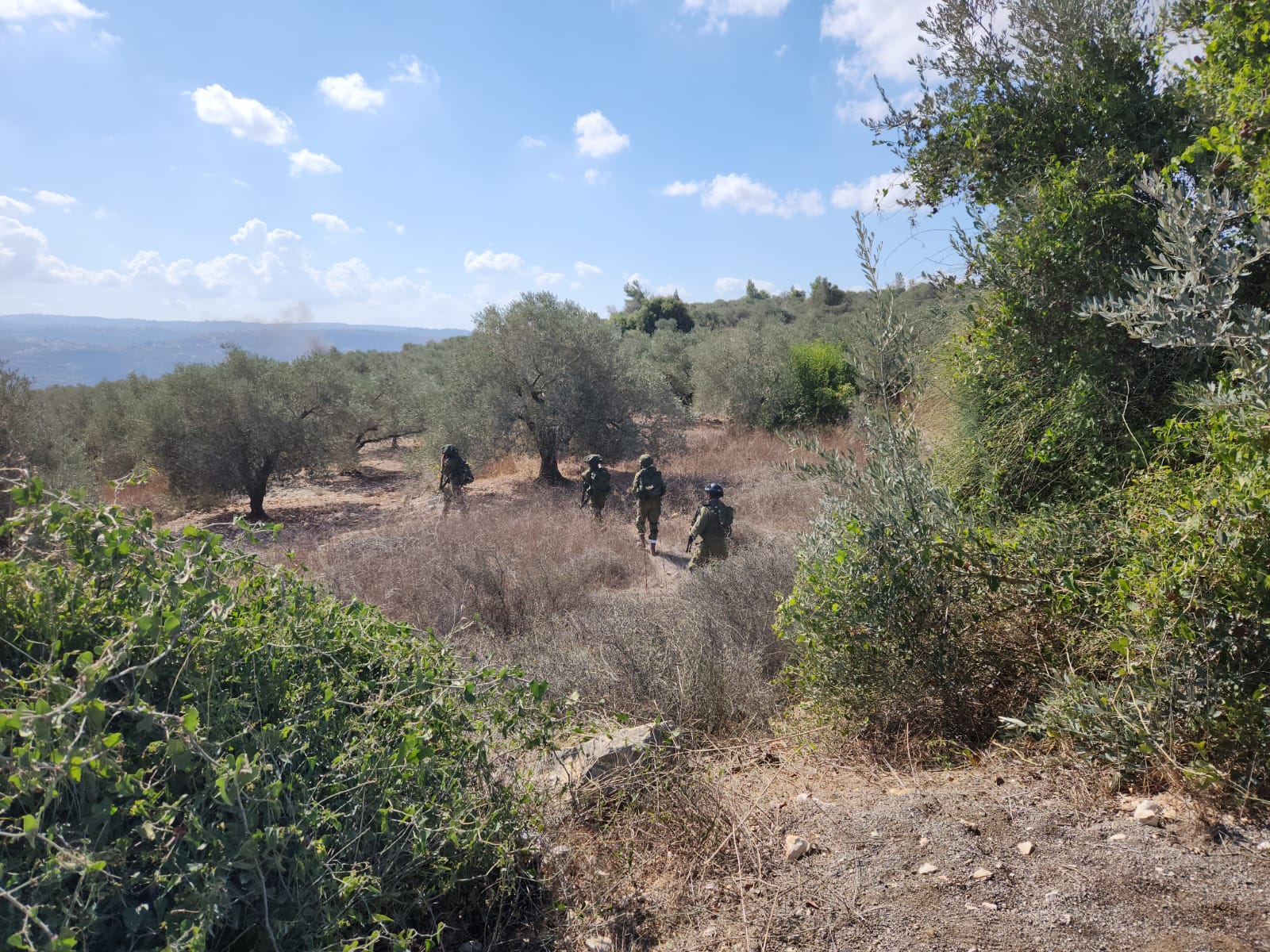 חיילי צה"ל במטעים
