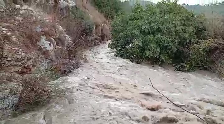 WhatsApp Video 2023-11-01 at 15.06.28