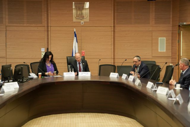 ביזוי כבוד המת, הדיון בוועדה