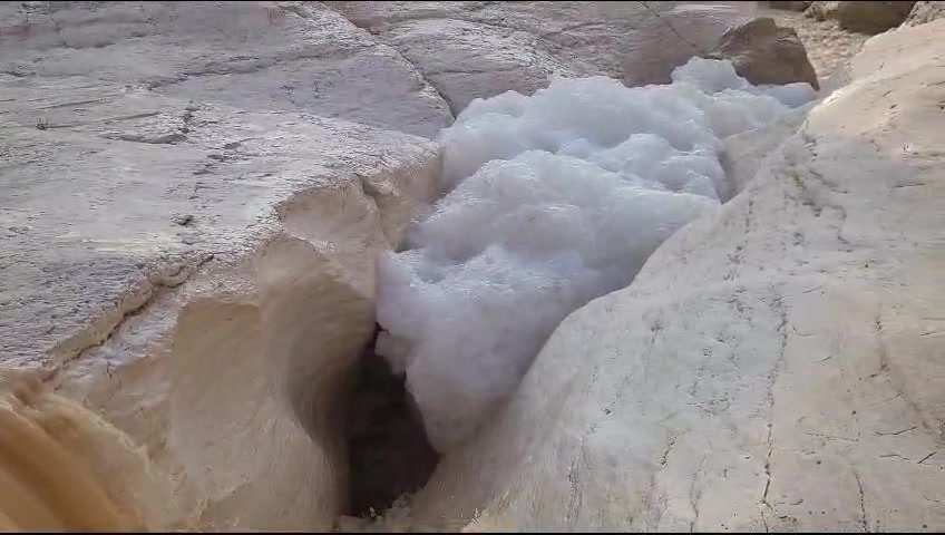 WhatsApp Video 2023-12-06 at 08.43.18