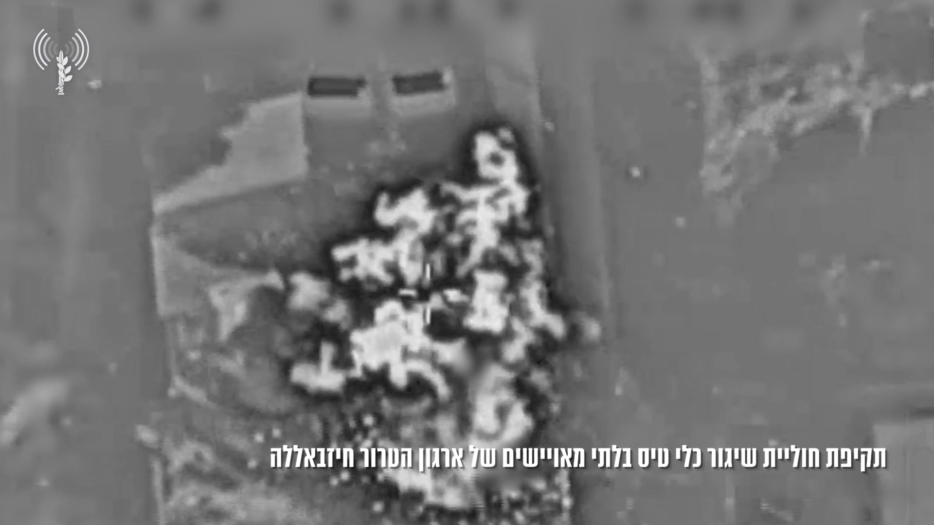 תקיפות חוליות כטבם