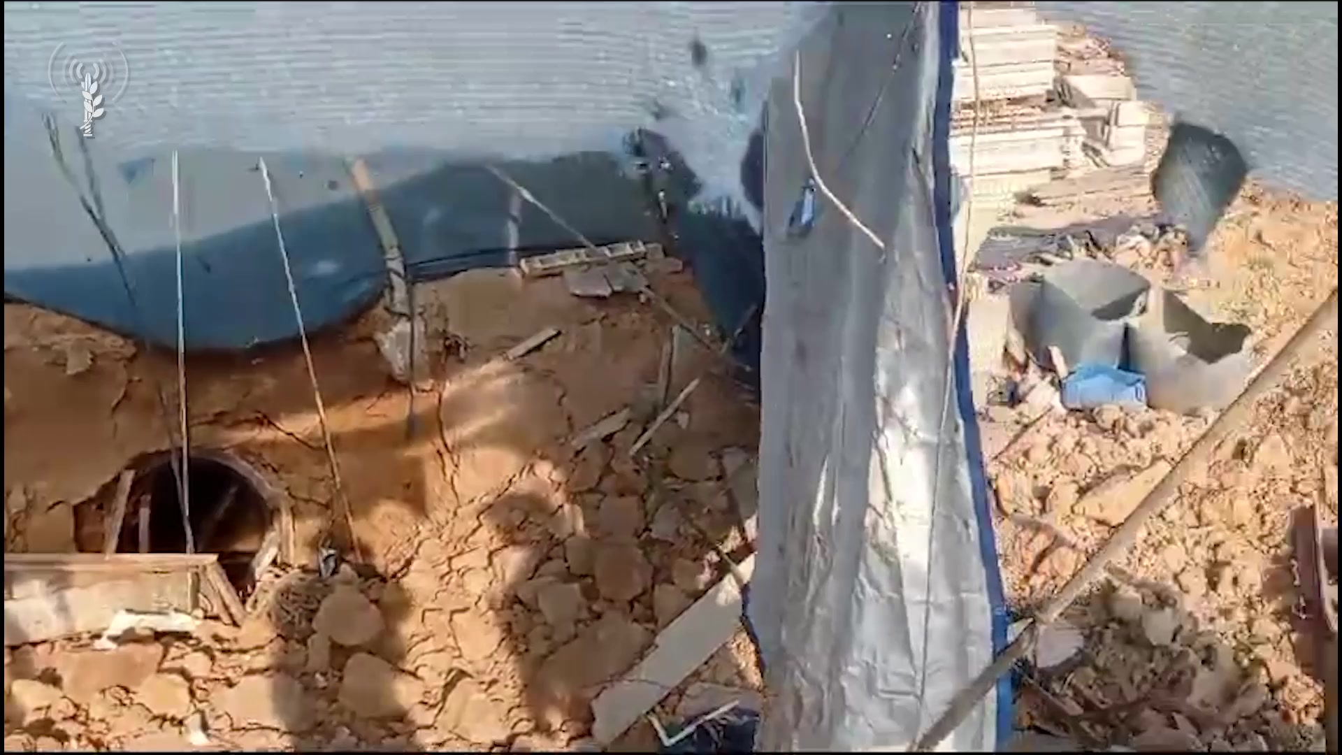 סגן אלוף ארז