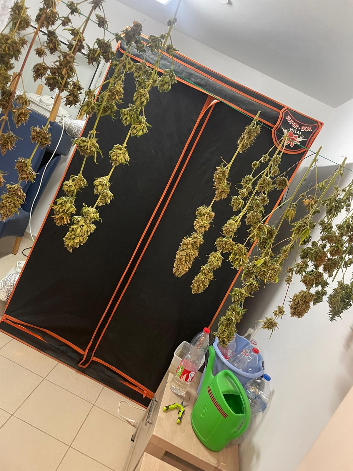 המשטרה גילתה: מעבדת סמים בעיר המפונה