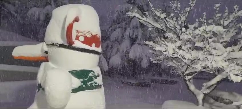 WhatsApp Video 2024-01-30 at 07.10.24