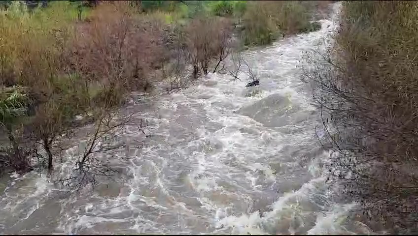 WhatsApp Video 2024-01-30 at 10.09.17