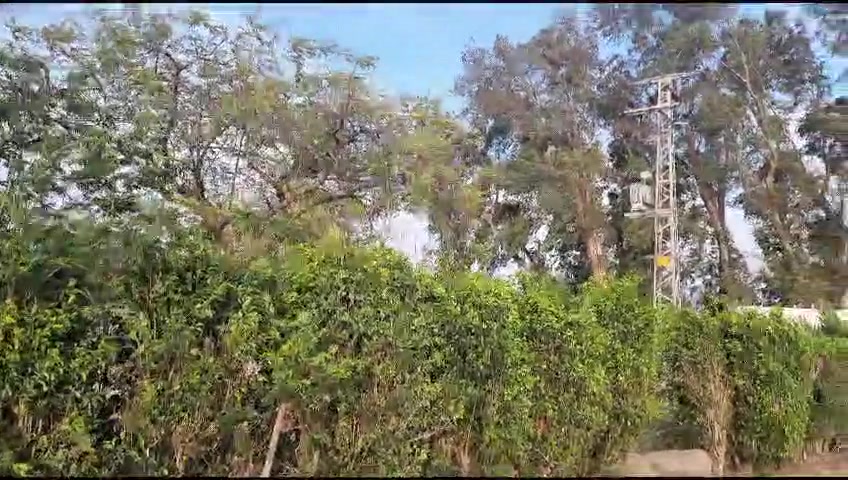 WhatsApp Video 2024-02-12 at 07.51.51 (1)