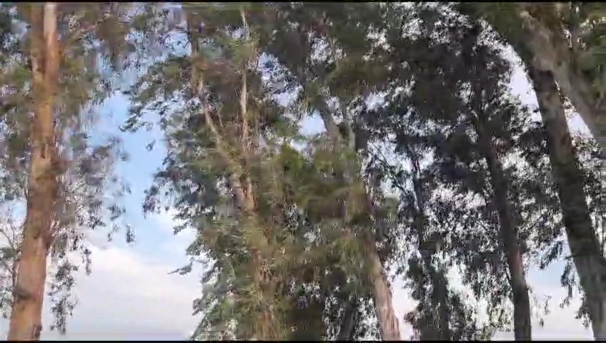 WhatsApp Video 2024-02-12 at 07.51.51