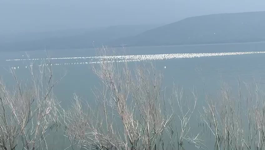 WhatsApp Video 2024-02-17 at 15.40.49