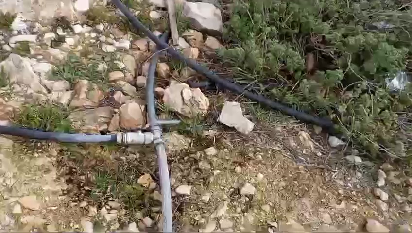 גניבת מים פלסטינית