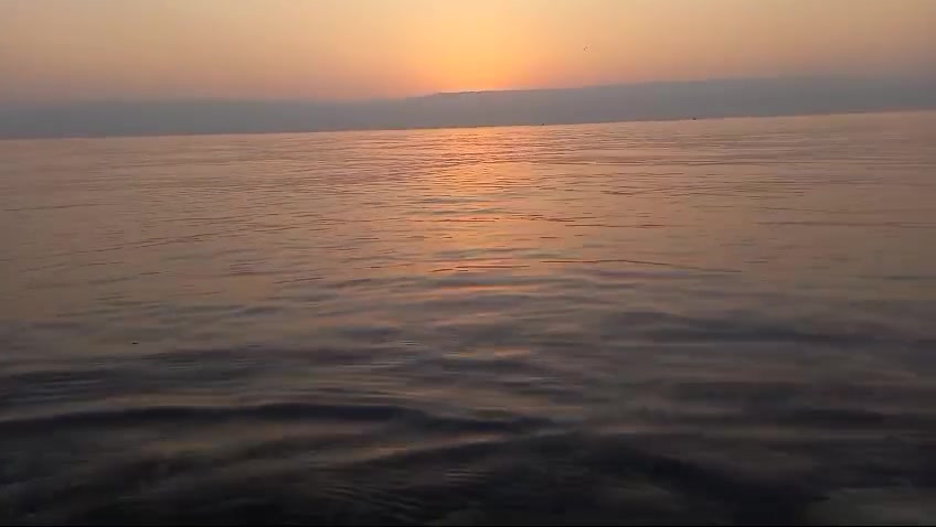 WhatsApp Video 2024-02-22 at 07.42.11