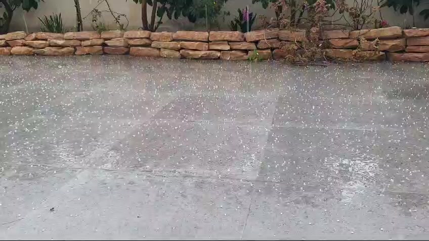 WhatsApp Video 2024-02-27 at 12.54.36