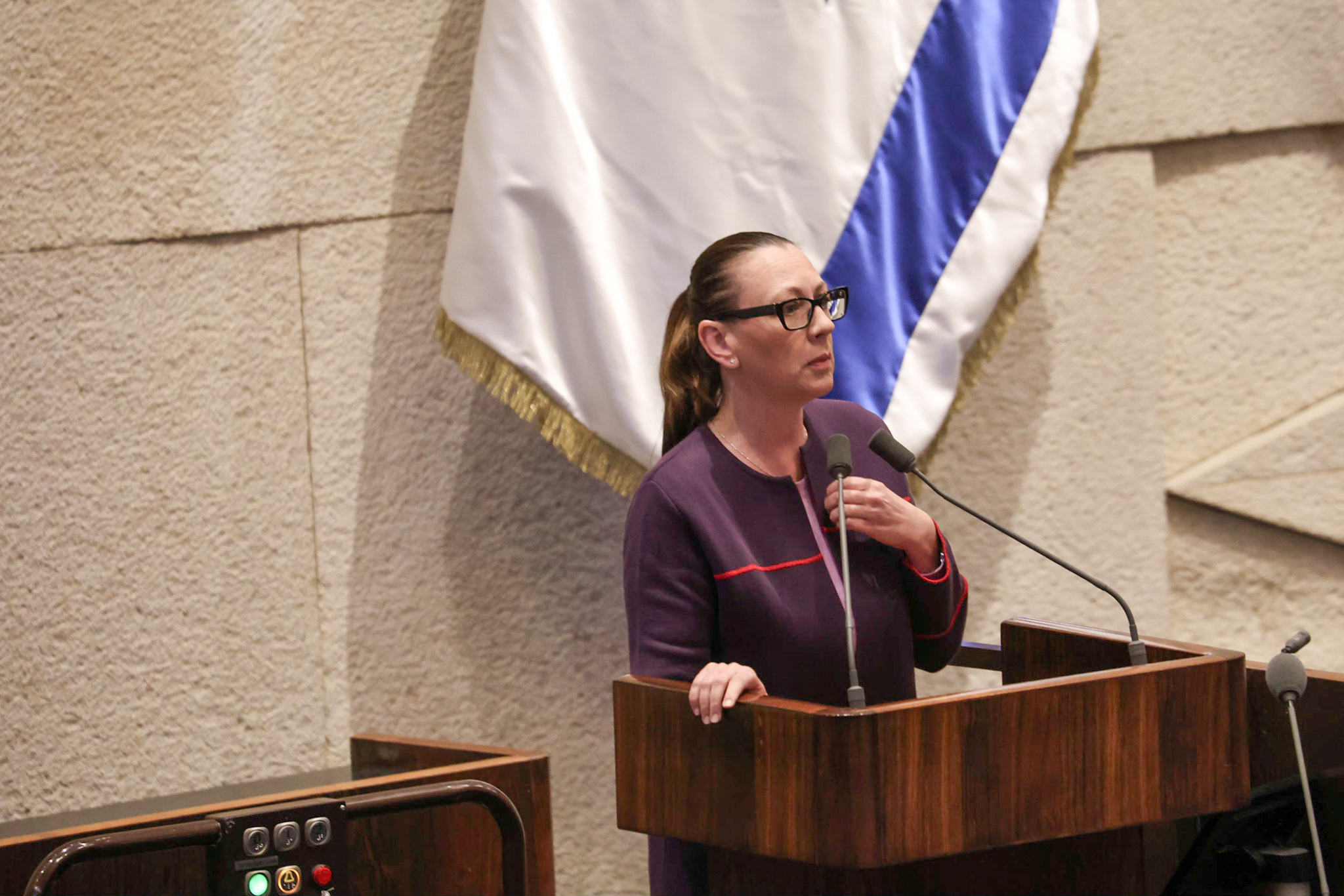 ח"כ יוליה מלינובסקי
