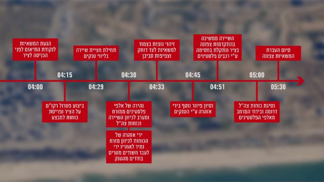 הממצאים