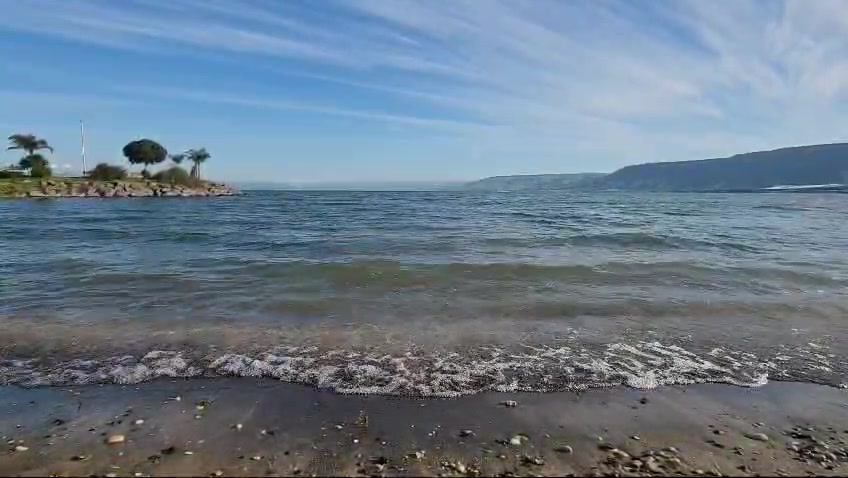 WhatsApp Video 2024-03-01 at 08.30.26