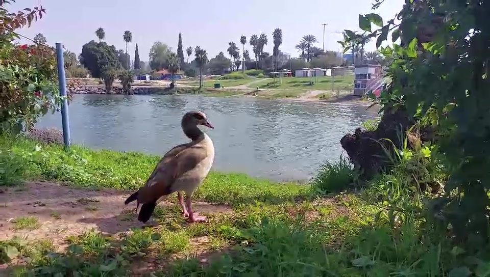 WhatsApp Video 2024-03-12 at 11.00.22