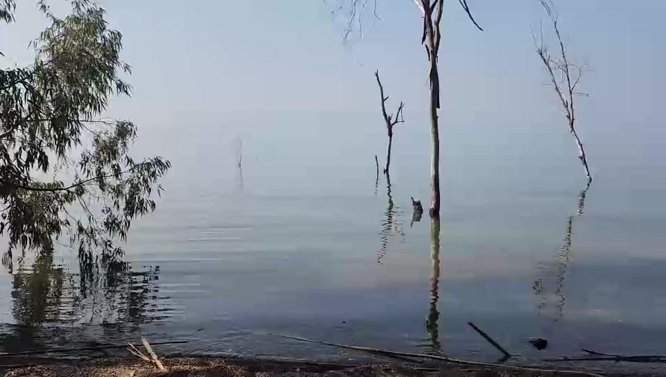 WhatsApp Video 2024-03-13 at 10.31.47