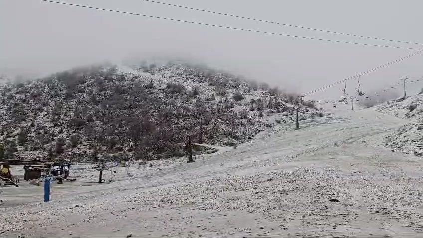 WhatsApp Video 2024-03-19 at 08.29.05