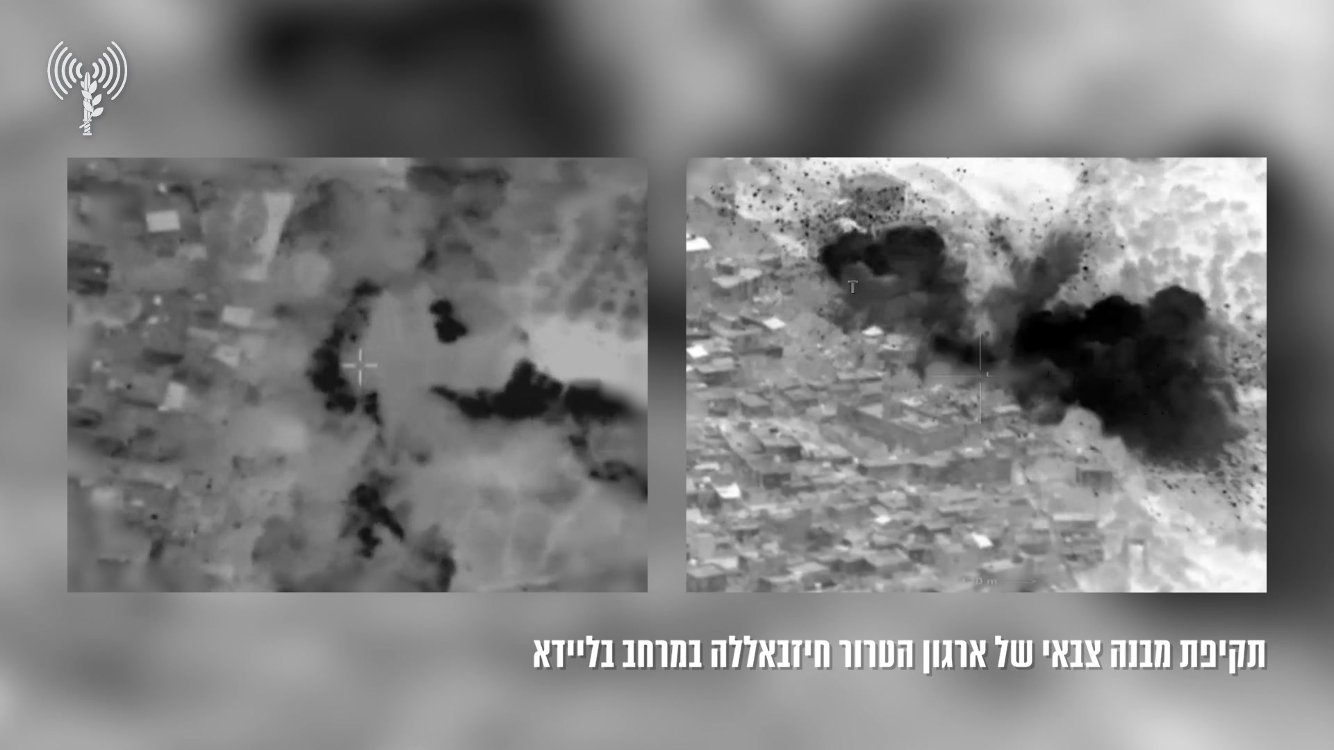 הר דב
