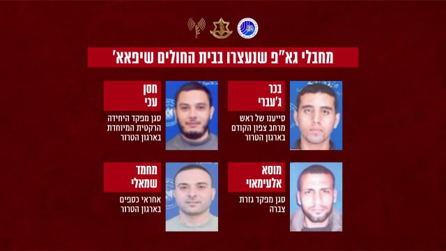 בכיר מודיעין בחמאס הודה: 'שיפאא זה מקום בטוח'