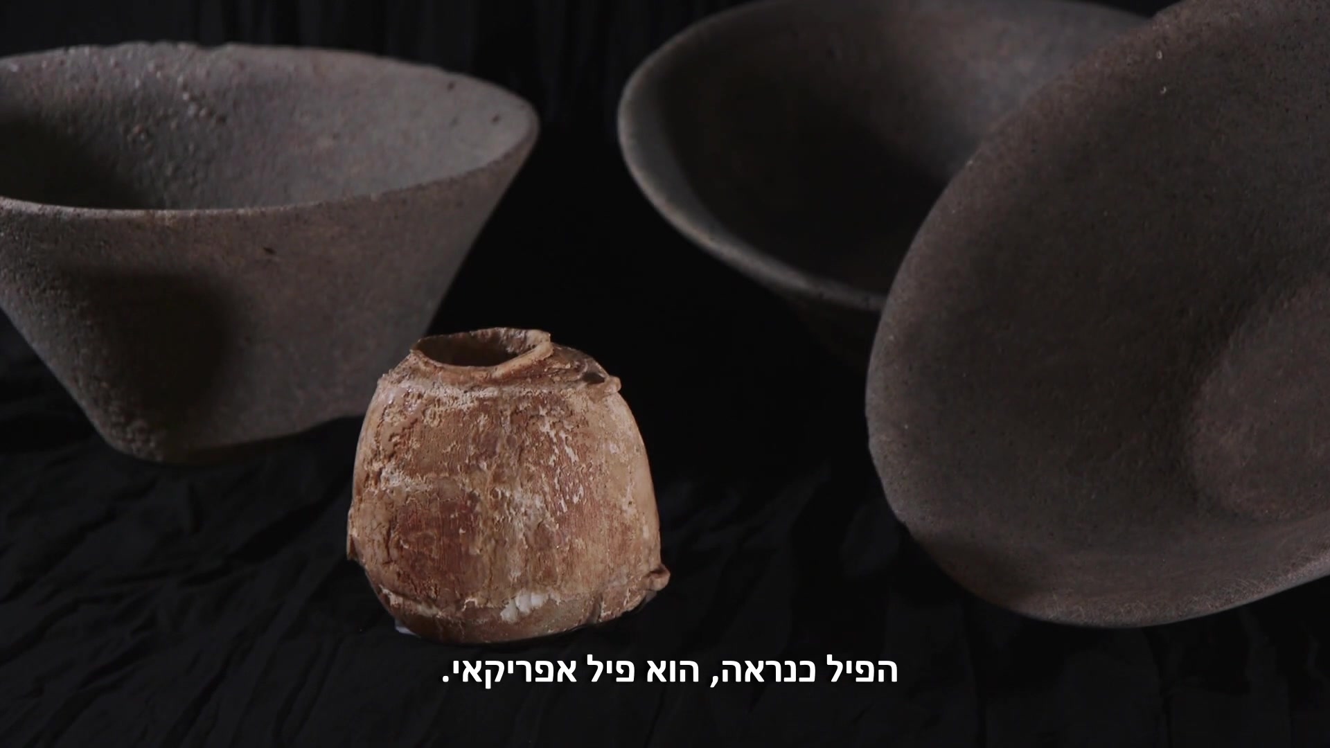 כלי שנהב נדיר