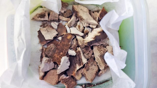 שברי הכלי במעבדת רשות העתיקות (יניר מילבסקי, רשות העתיקות)