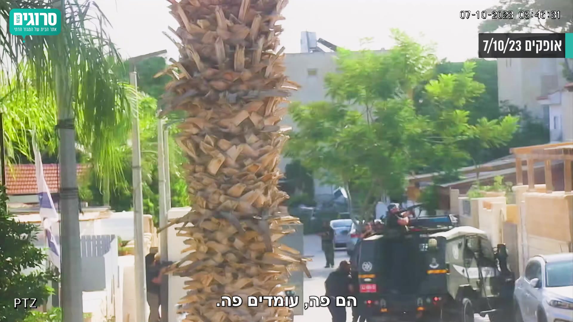 אליאב11