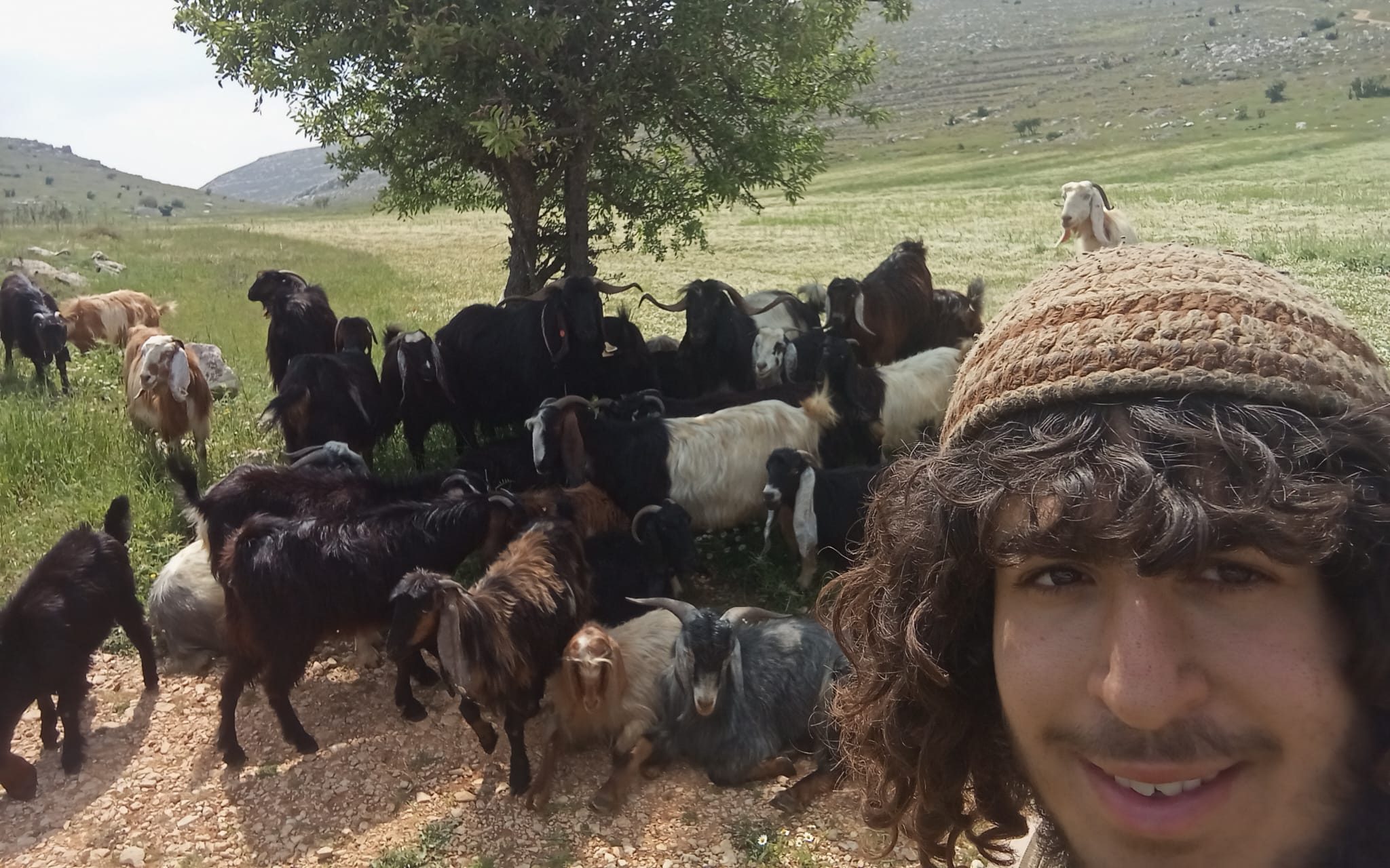 רועי הצאן ביו"ש: "מערכה מאתגרת, אך לא נעצור"