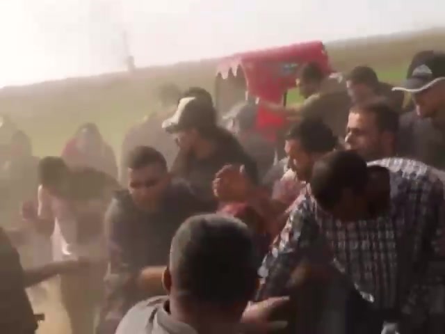 WhatsApp Video 2024-04-17 at 20.34.20