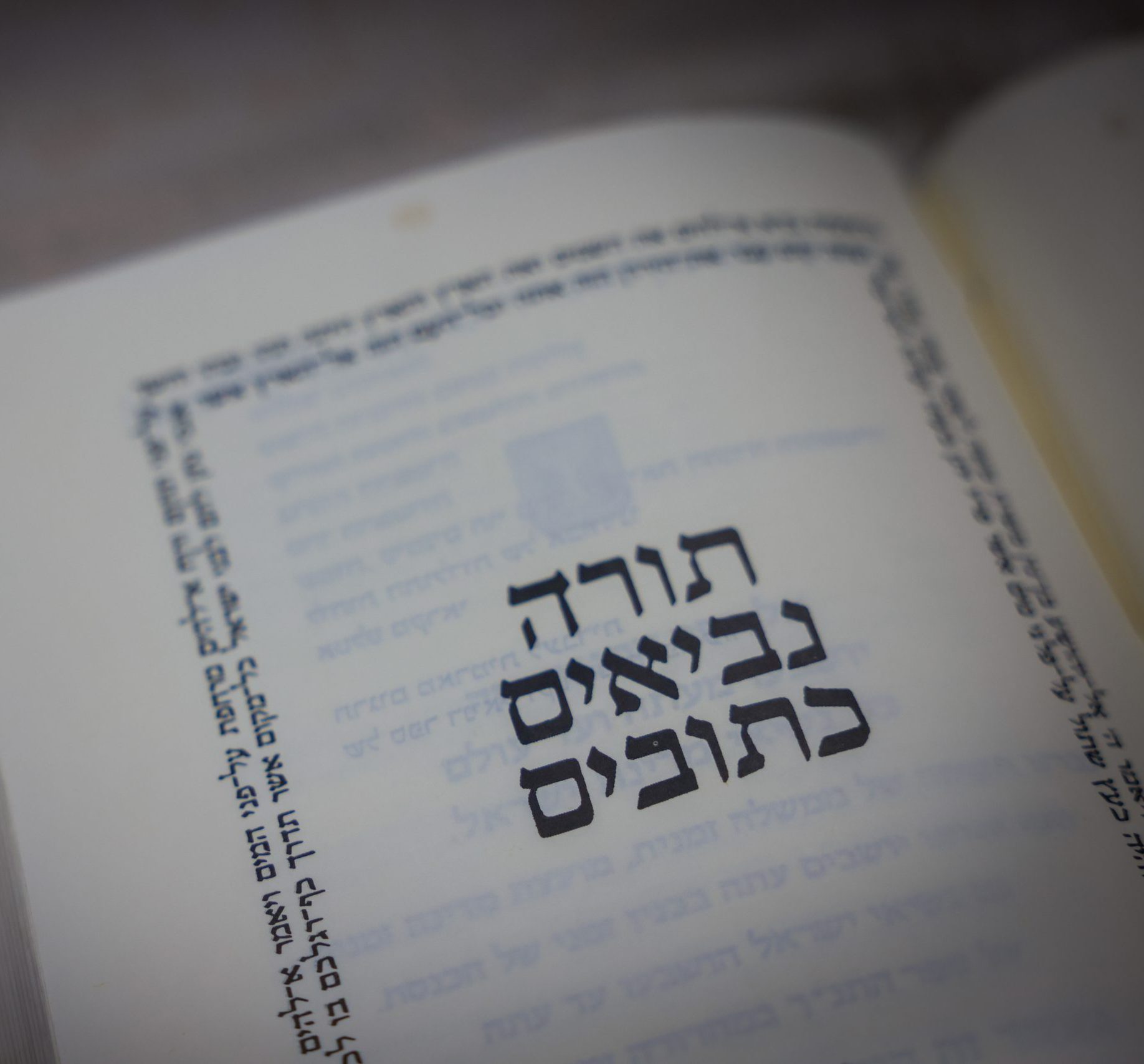 מקרה של פעם ב-27 שנה: איזו הפטרה יקראו השבת?