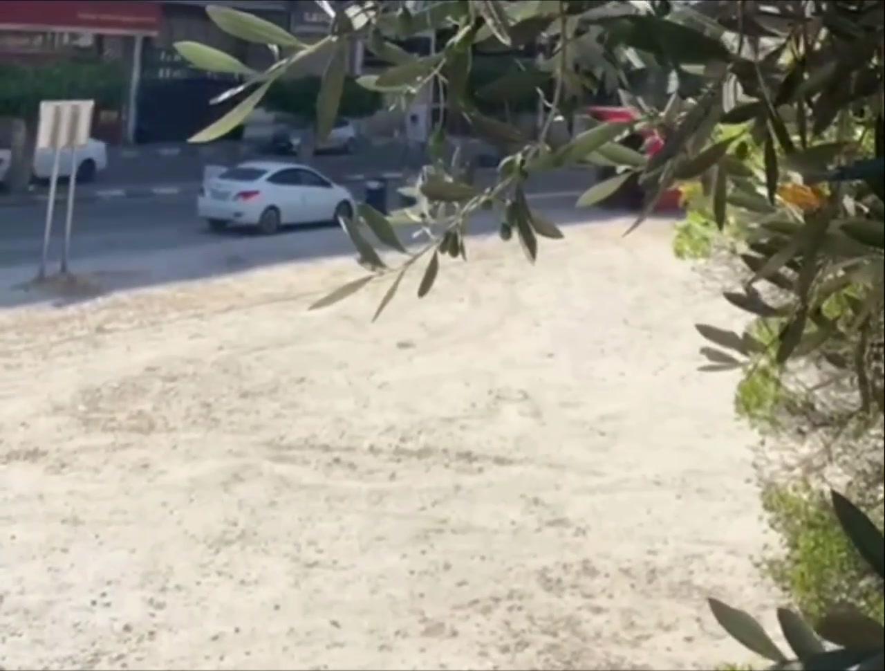 WhatsApp Video 2024-05-30 at 15.24.23