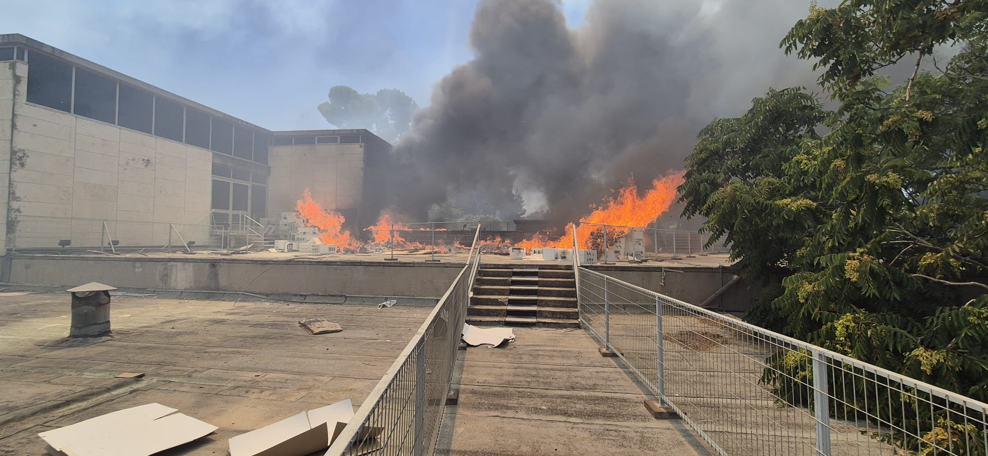 שריפה נרחבת בירושלים: מוזיאון ישראל פונה