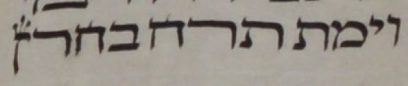 הנון ההפוכה בסוף פרשת נח