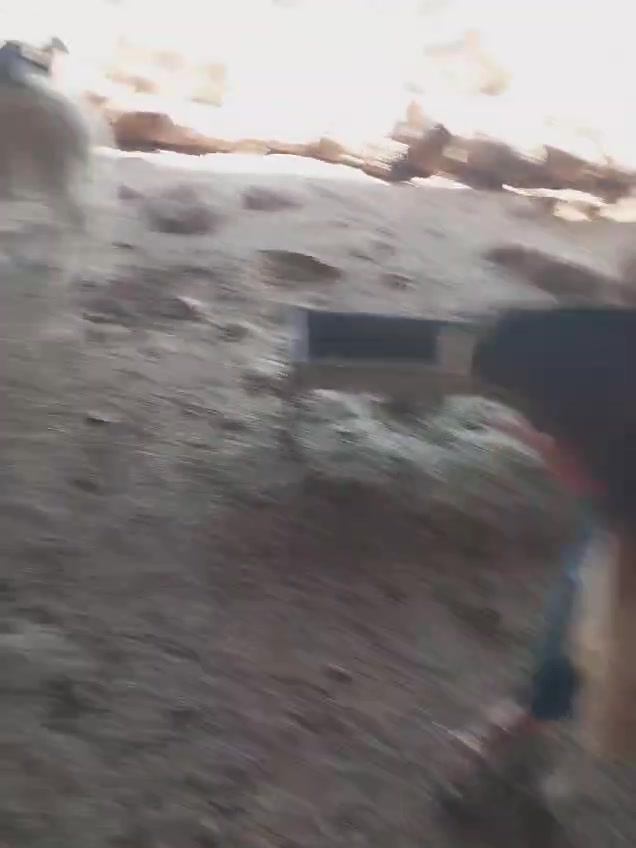 גניבת עדר בבקעה (2)