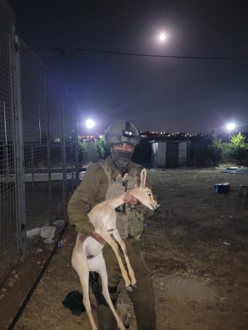 קרדיט