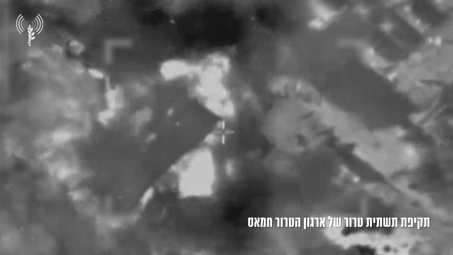 רפיח צהל