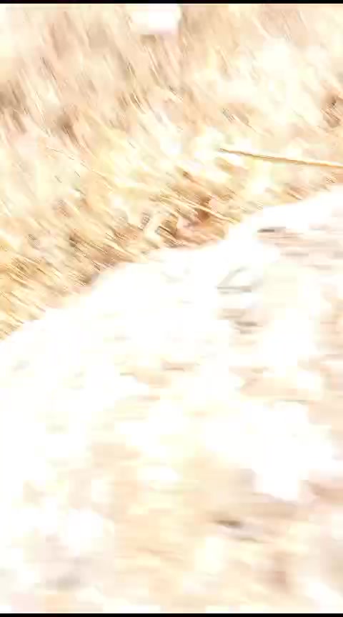 ערבים תוקפים נער יהודי במעון