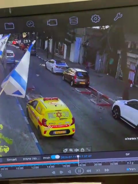 עץ על רכב מדא (1)