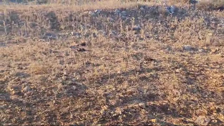 video5830244484562032143
