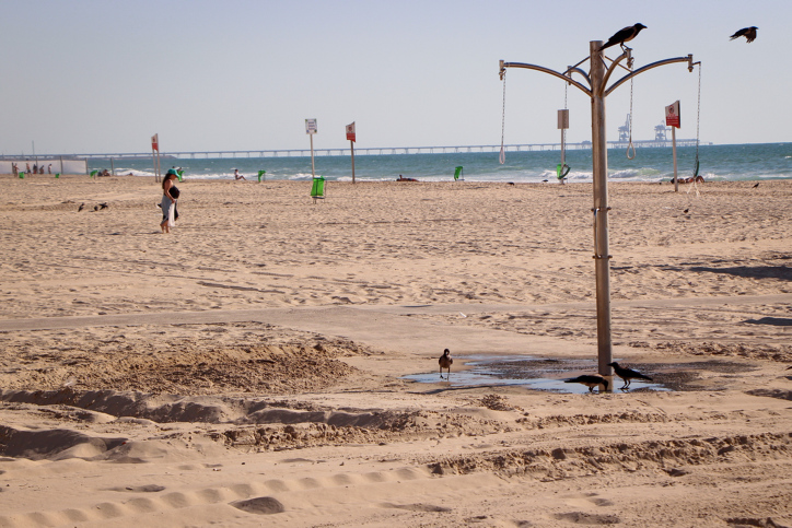 אסון בחוף באשקלון: גבר בן 46 טבע למוות