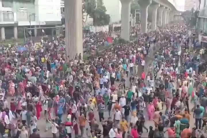 WhatsApp Video 2024-08-05 at 16.31.53