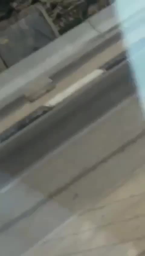 WhatsApp Video 2024-08-06 at 11.01.10