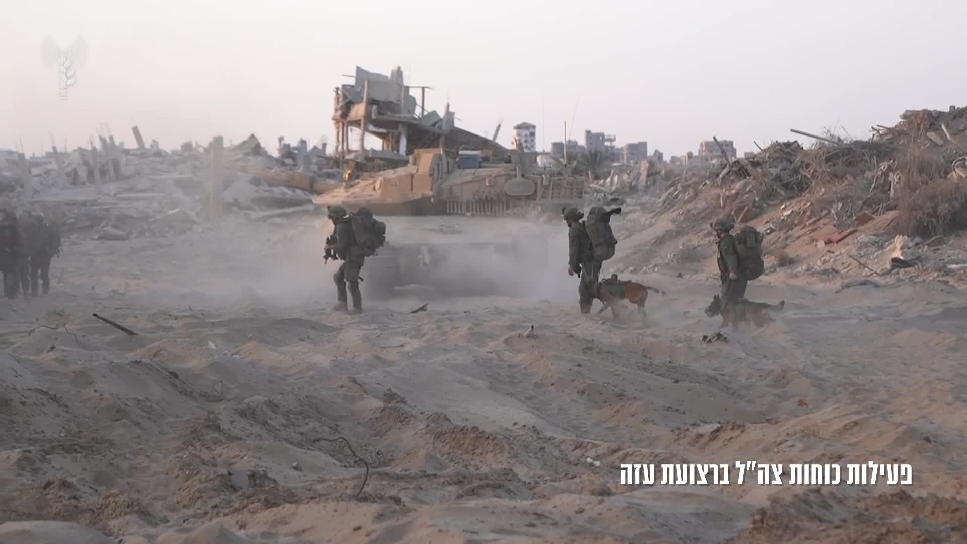 פעילות צהל ברצועה