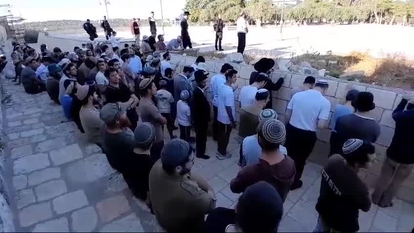 יהודים בהר הבית