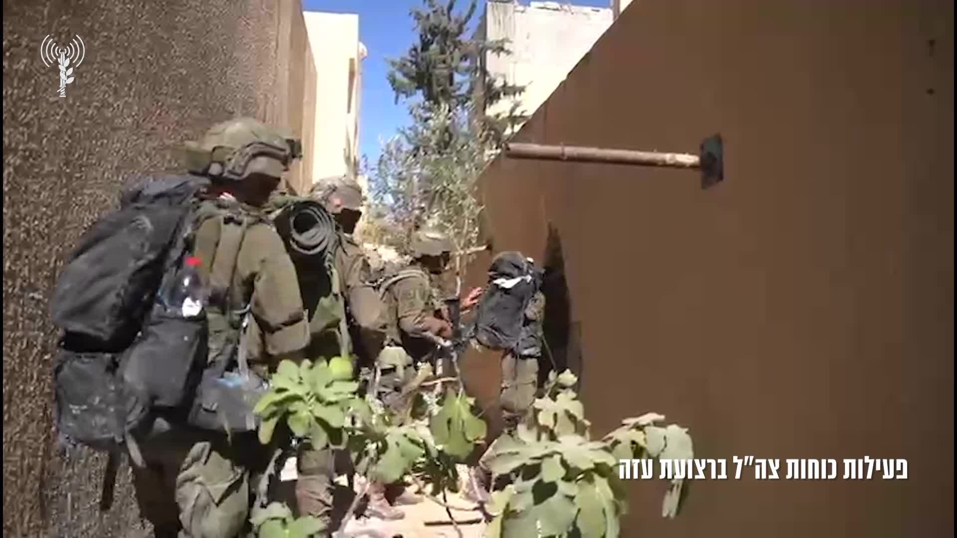 פעילות כוח צהל ברצועה