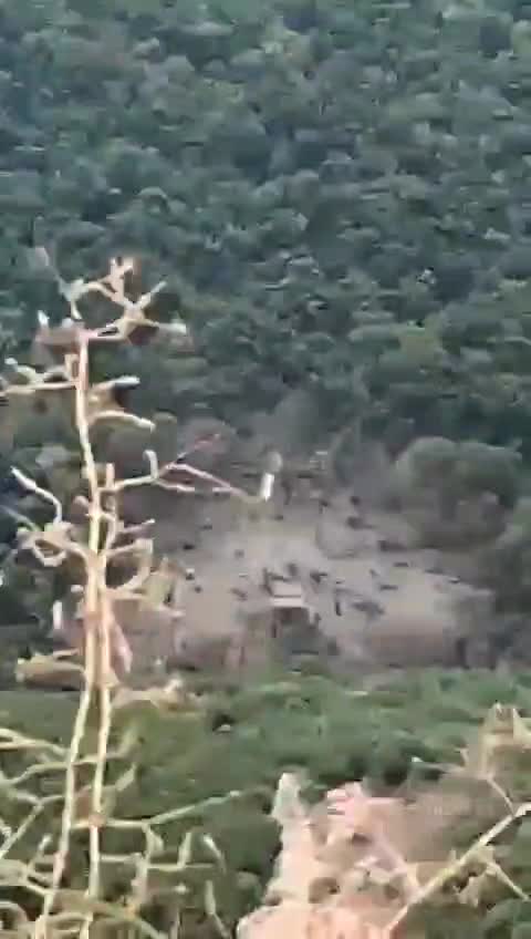 WhatsApp Video 2024-08-25 at 18.31.21