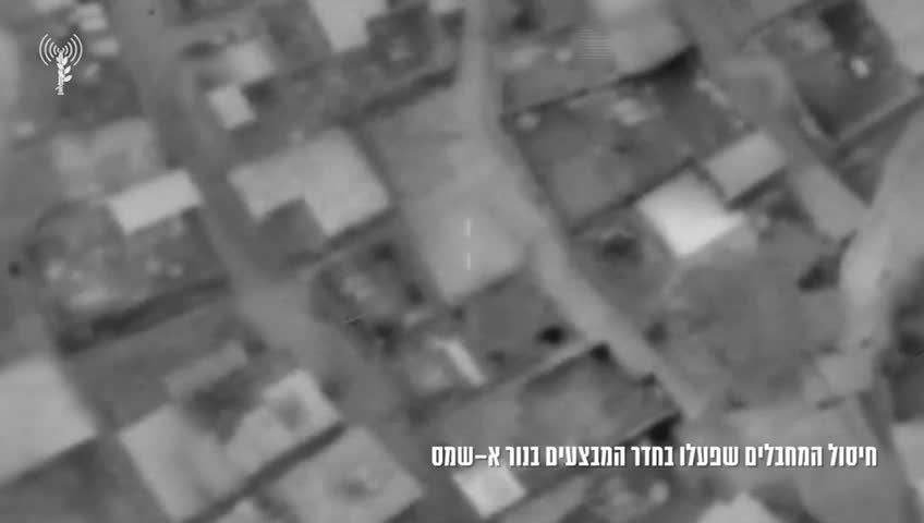 WhatsApp Video 2024-08-28 at 06.58.45